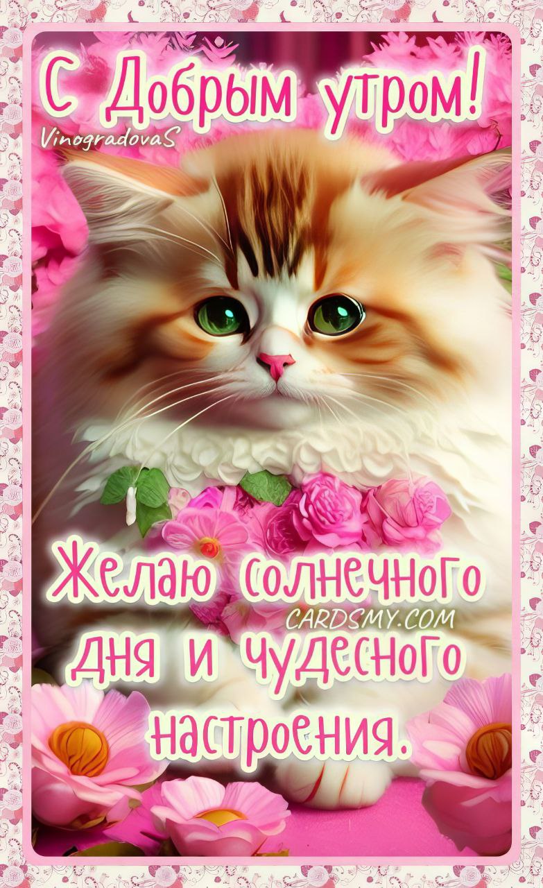 Открытки солнечного настроения