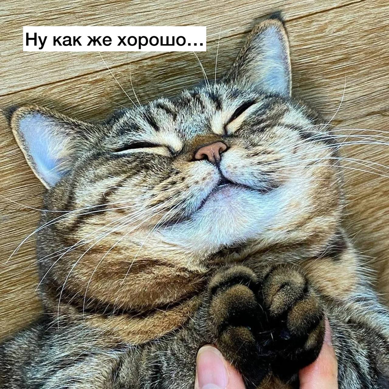 От улыбки станет всем светлей