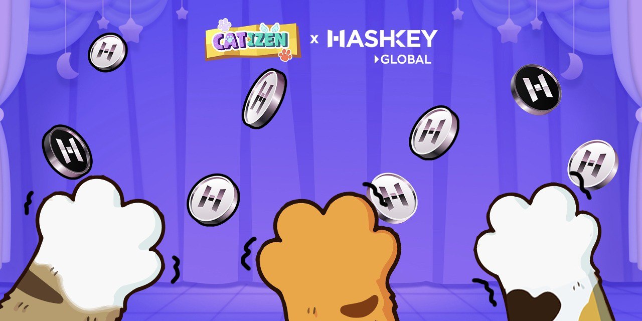 Catizen hashkey. Catizen hashkey