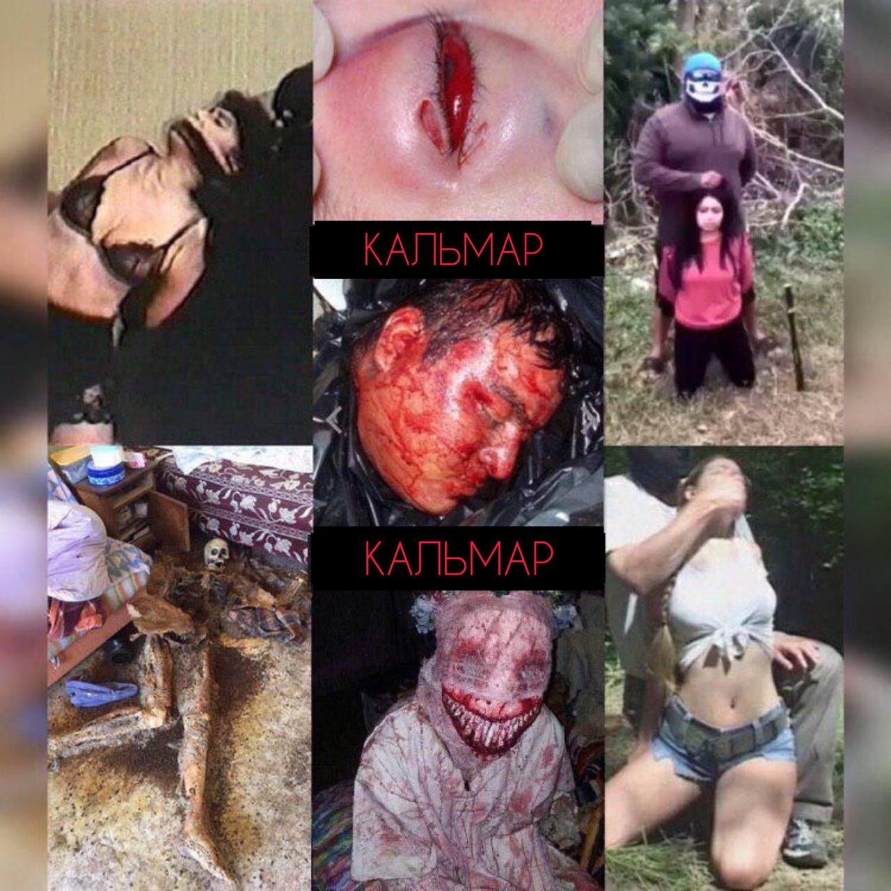 #2006 post - кальмар 18+ (aaaaaembdeavn5lfp4j5pa)