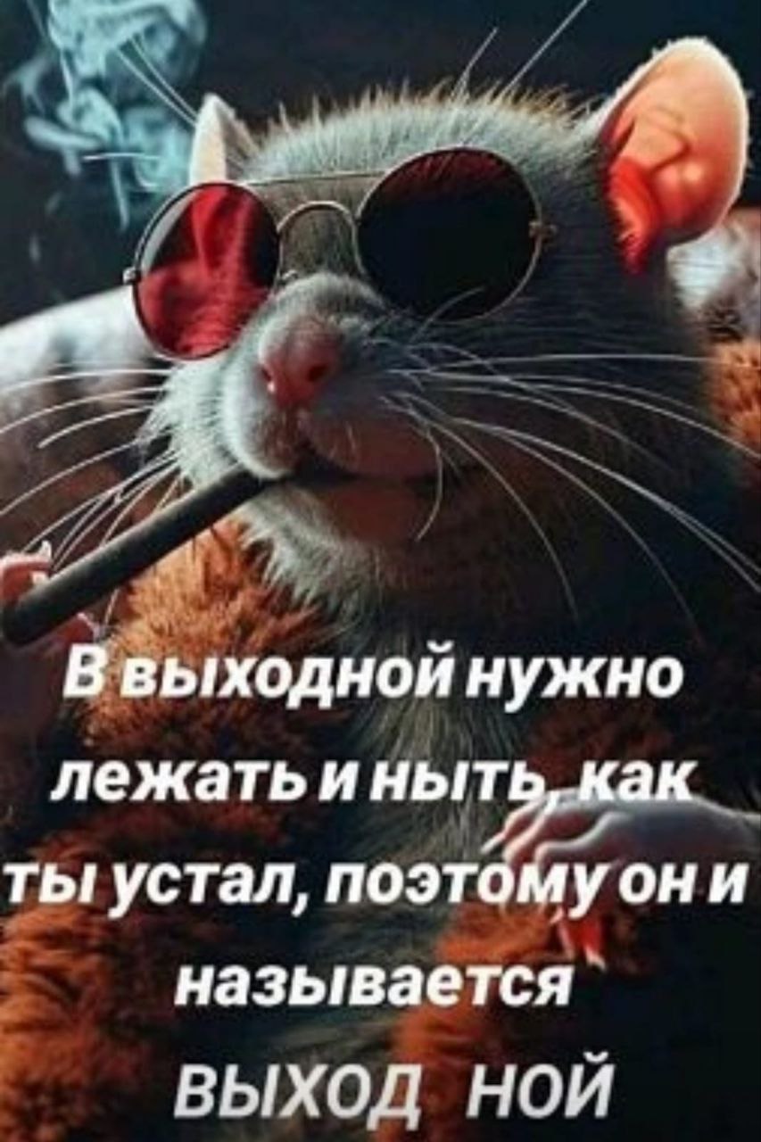 Крепкий сон до пофигизма на измену