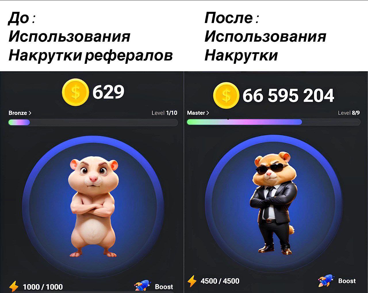 Хомяк комбо и шифр на 26 августа