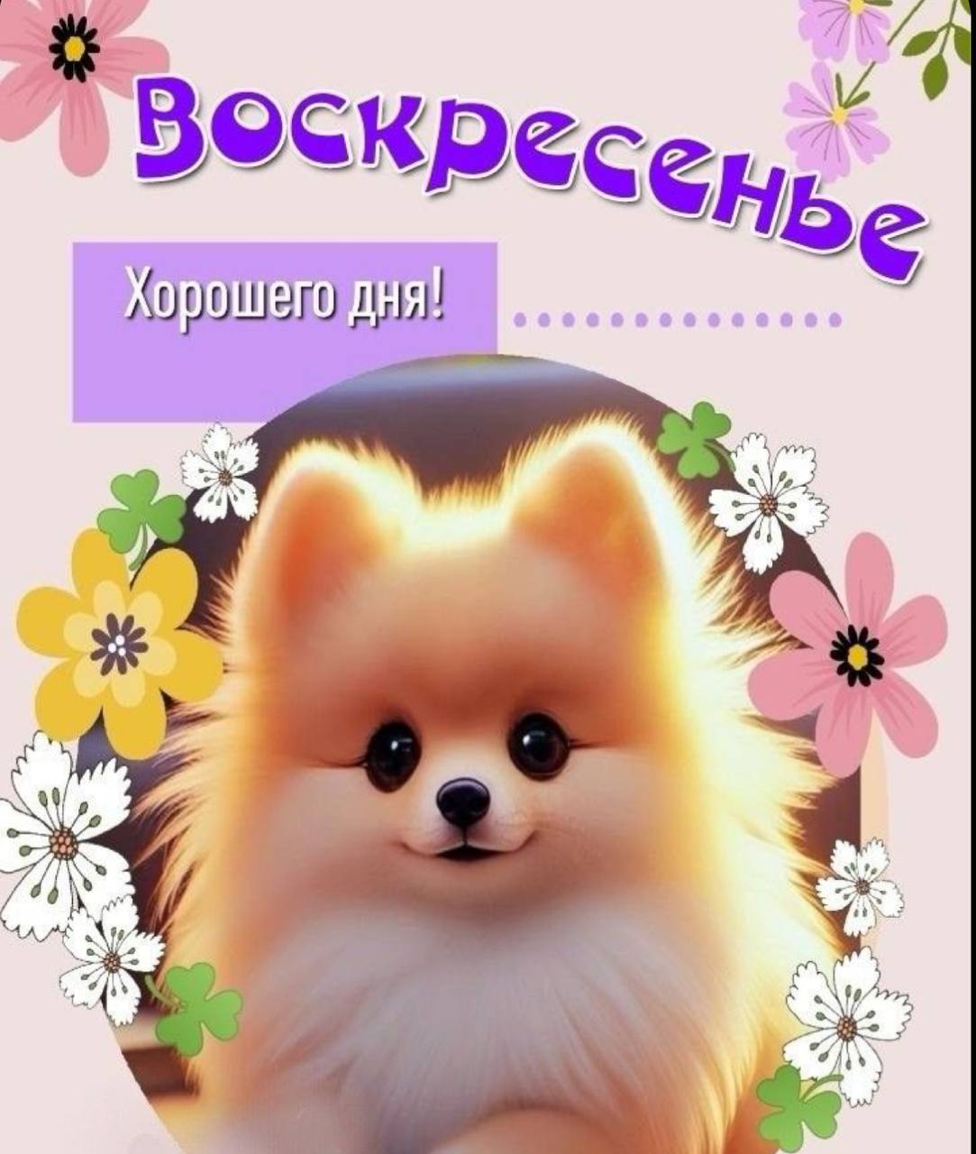 Поздравление с добрым утром из тик тока