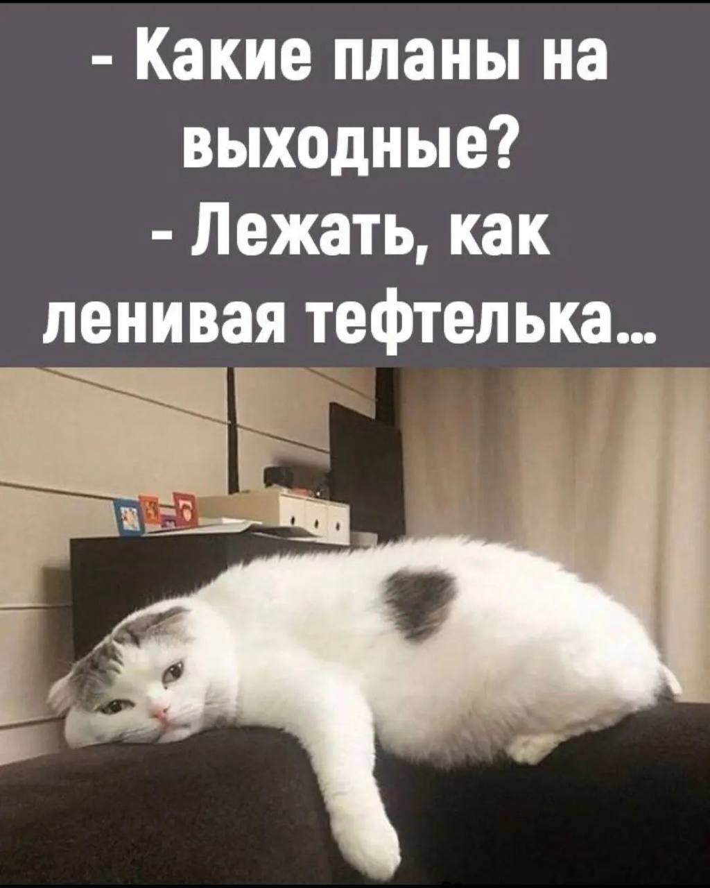 Женский юмор