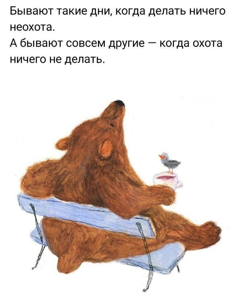 Бывает мем. Высказывания о плохом настроении. Юридические шутки и приколы. Впусти кота. Но все же и такое бывало.