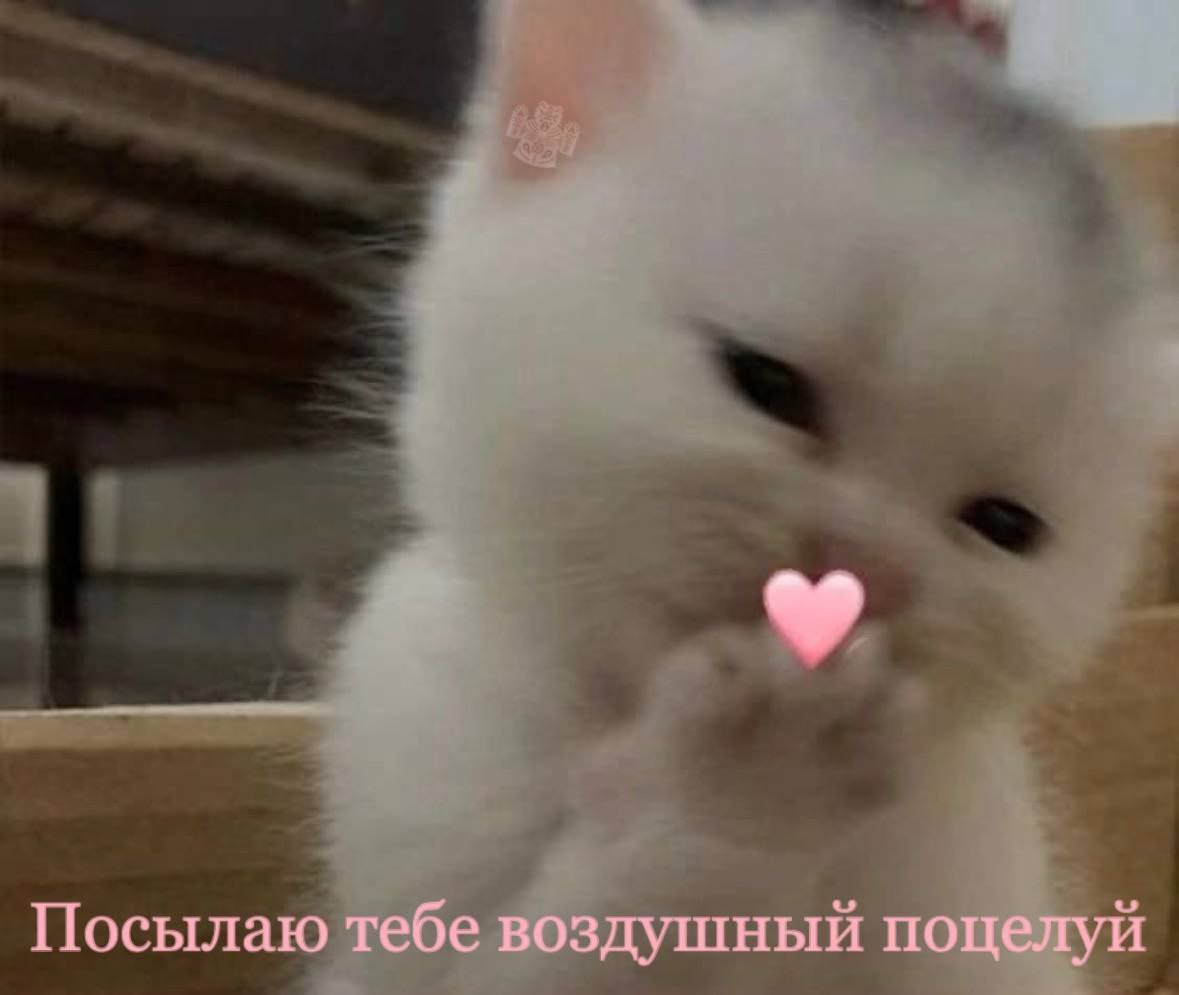 Воздушный поцелуй прикол