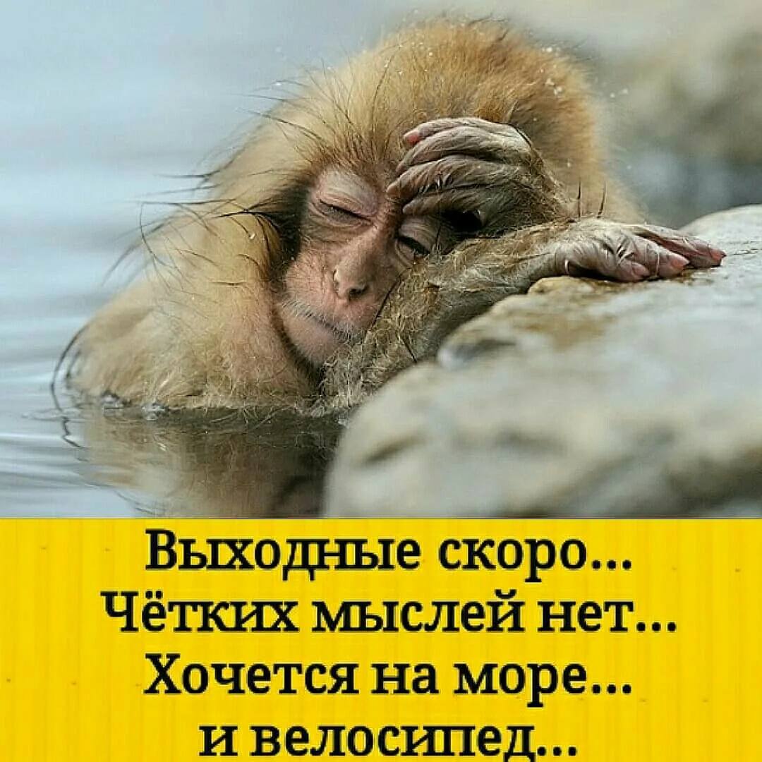 Картинка понедельник выходной