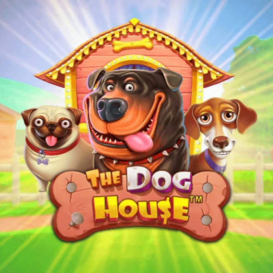 The dog house