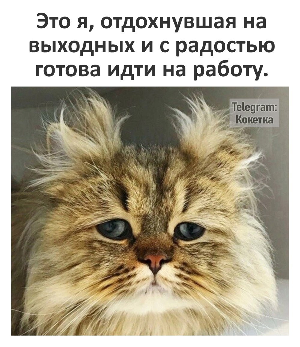 Как не выходной так новый парнишка в сетях Как не выходной так новый парнишка в сетях